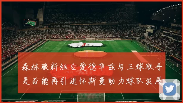 森林狼新组合爱德华兹与三球联手是否能再引进怀斯曼助力球队发展