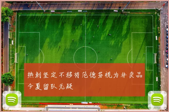 热刺坚定不移将范德芬视为非卖品今夏留队无疑
