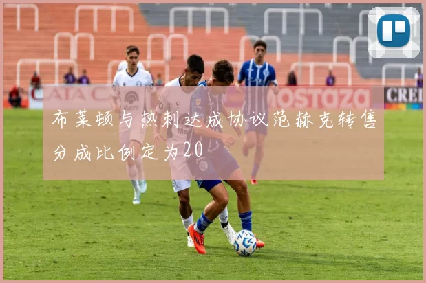 布莱顿与热刺达成协议范赫克转售分成比例定为20